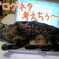 【復刻版】＊【猫写真】ブログネタ考えちぅにゃ～[new]-2006/4/19