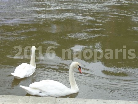 image195