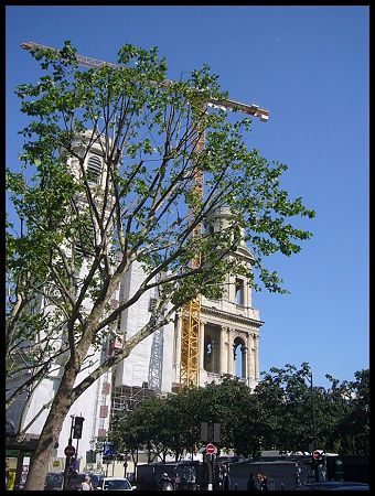 P2460561