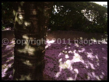 P2690950