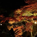 Photos: 7F1A8306