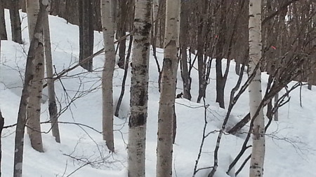20170402_090649
