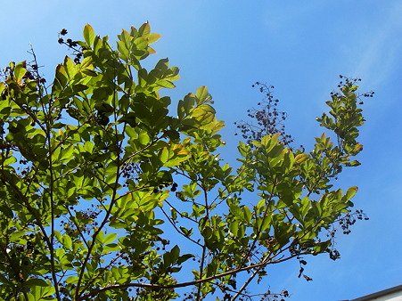 R0014194