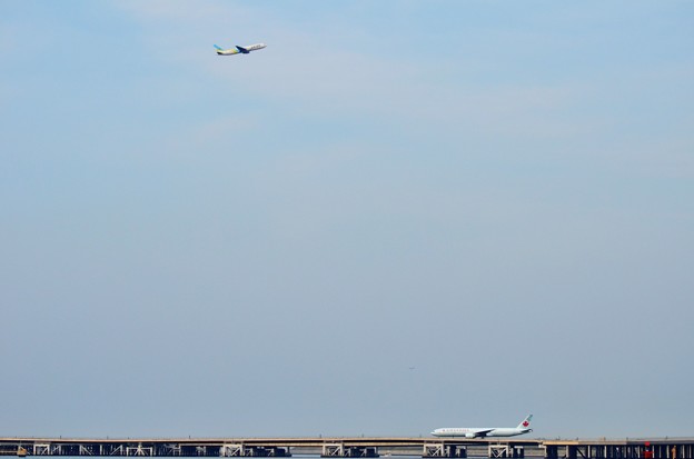 DSC_6856 (2)