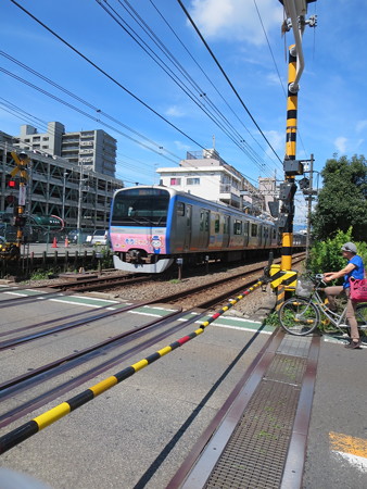 相鉄 そうにゃん車両
