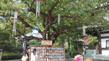 アルミ風鈴の音が、カラーんと優しい音で奏でる@長谷寺