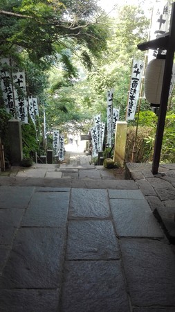 参道の階段 杉本観音