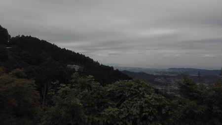 相模湾一望