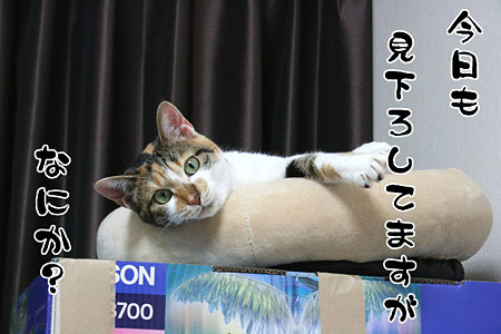 2010053101