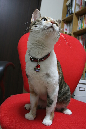 20110201102