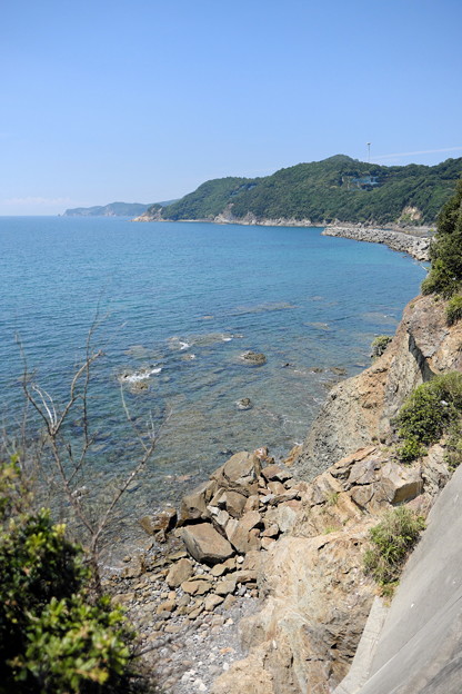 DSCF1649