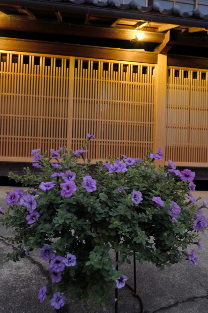 DSCF2013