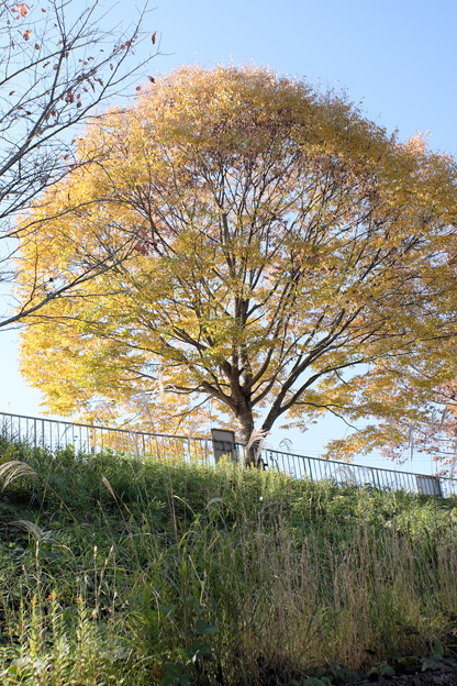 DSCF3168