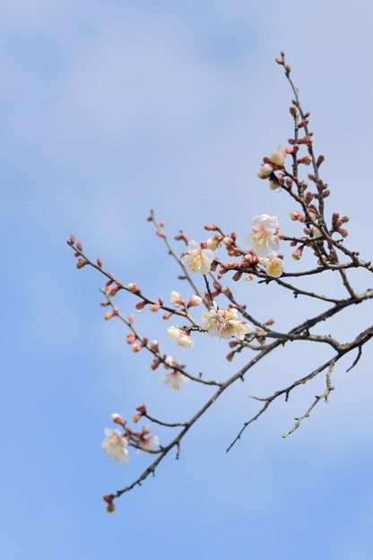 DSCF3984