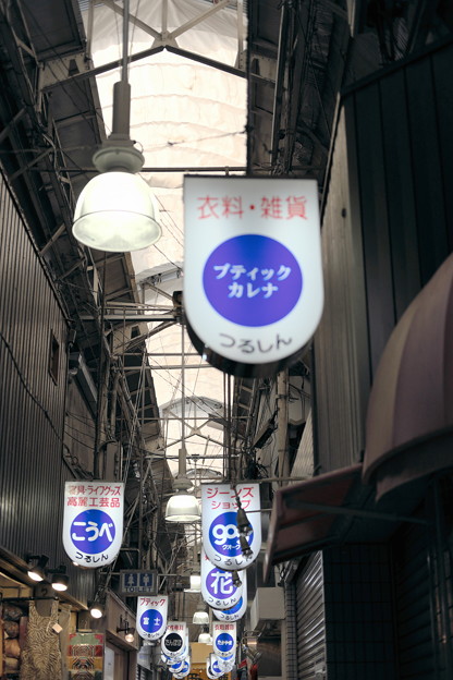 DSCF4669