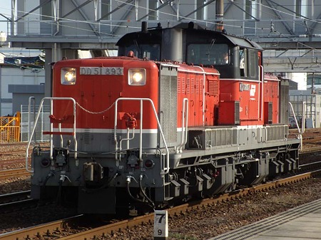 DSCN1953