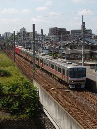 DSCN3613