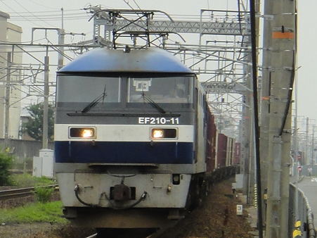 DSC00431