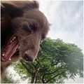 Photos: 2016061407