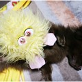 Photos: 2017011003
