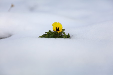 雪景色5