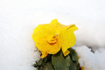 雪景色10