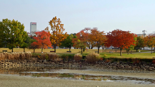 落合公園の紅葉 - 17