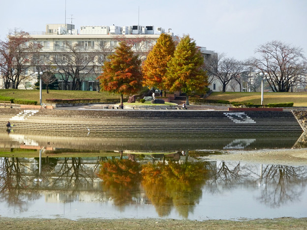 落合公園の紅葉 - 19