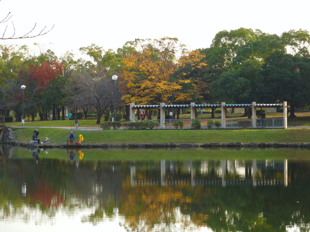落合公園の紅葉 - 35