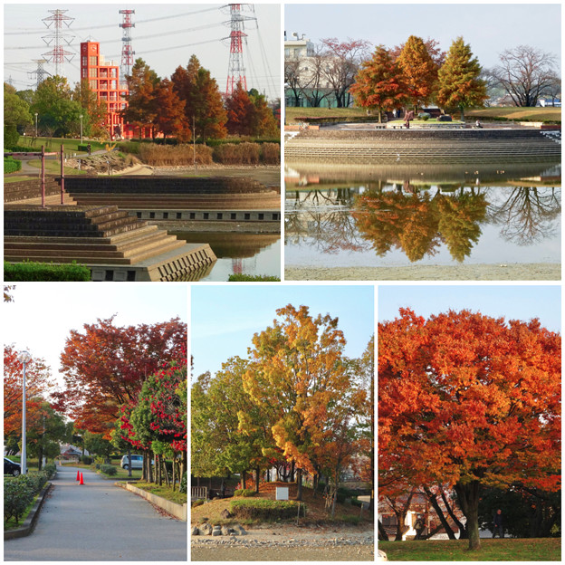 落合公園の紅葉 - 69