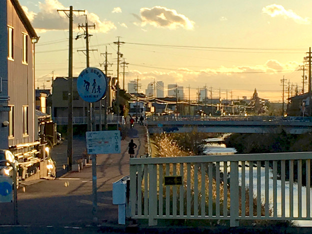 八田川沿いから見た名駅ビル群 - 13