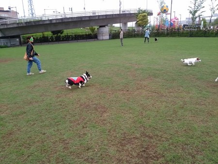 IMG_20160424_160551