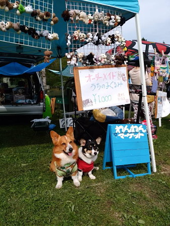 IMG_20160529_151800