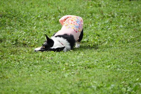DSC_0007