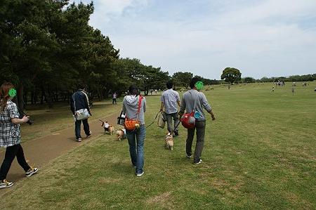 DSC08552