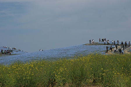 DSC08696