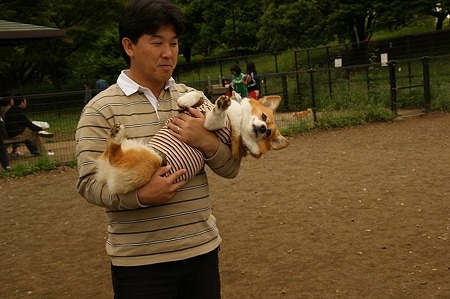 DSC09351