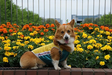 DSC09366