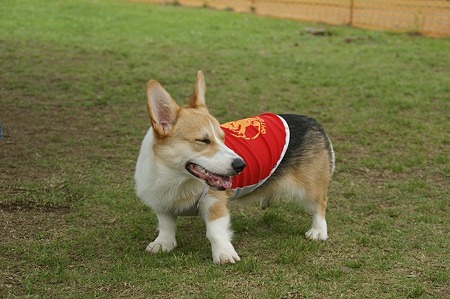 DSC00587