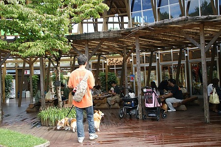 DSC03504