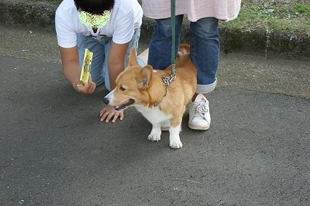DSC03840