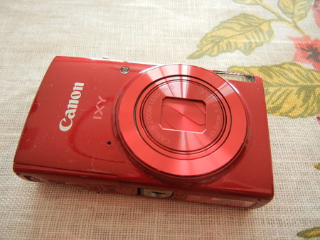 キヤノンIXY 190