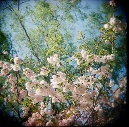 HOLGA_LOMOGRAPHY_COLOR_NEGATIVE400_05052011-02