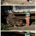 Photos: 仲良くなるために