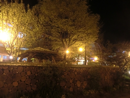 CIMG4402_R CIMG4402_R