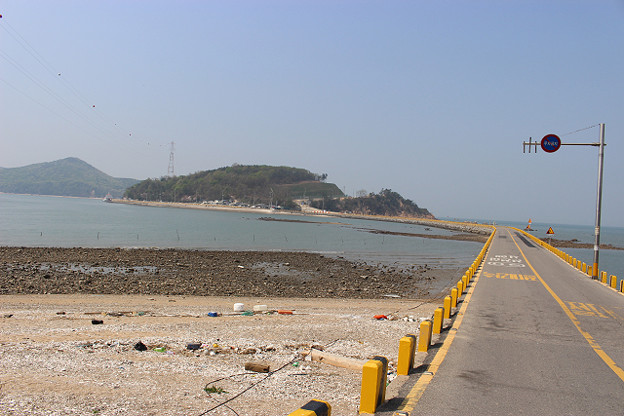 resize9971 写真: resize9971
