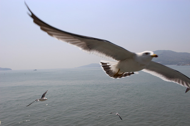 resize9991 写真: resize9991
