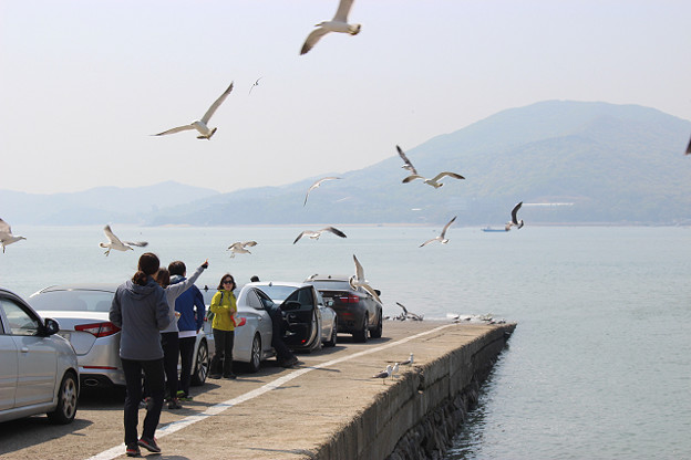 resize9982 写真: resize9982