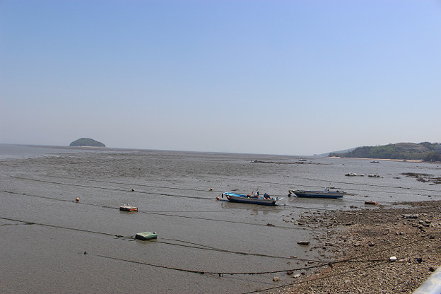 resize10033 写真: resize10033