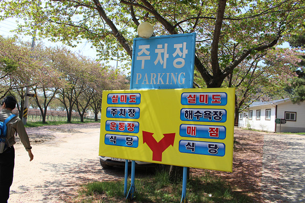 resize10013 写真: resize10013